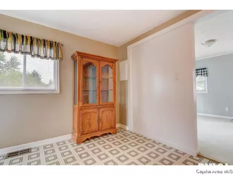 1401 Chalmers St, Springfield, IL 62703 photo 20