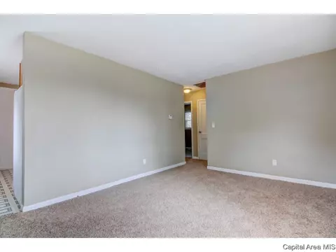1401 Chalmers St, Springfield, IL 62703 photo 12