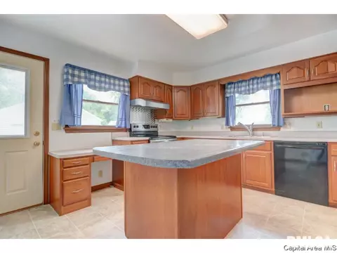 2224 S Spring St, Springfield, IL 62704 photo 12
