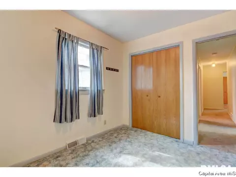 2224 S Spring St, Springfield, IL 62704 photo 23