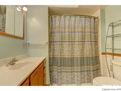 2224 S Spring St, Springfield, IL 62704 photo 25