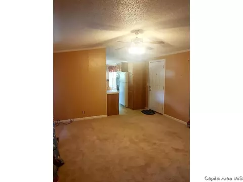 3235 E Division St, Springfield, IL 62702 photo 6