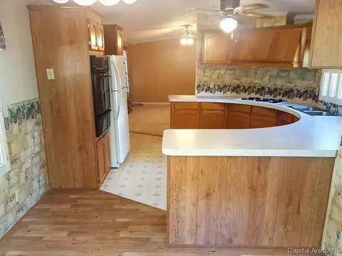 3235 E Division St, Springfield, IL 62702 photo 3