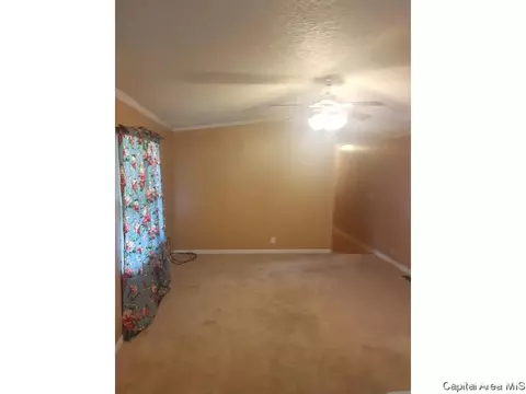 3235 E Division St, Springfield, IL 62702 photo 5