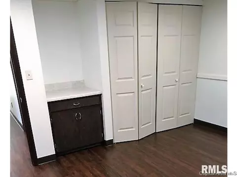 2428 Tamaroa Trl, Springfield, IL 62702 photo 27