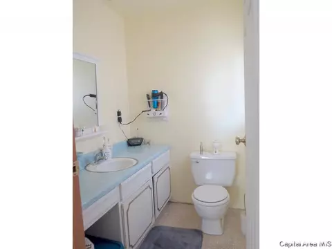 4662 Spaulding Orchard Rd, Springfield, IL 62711 photo 29