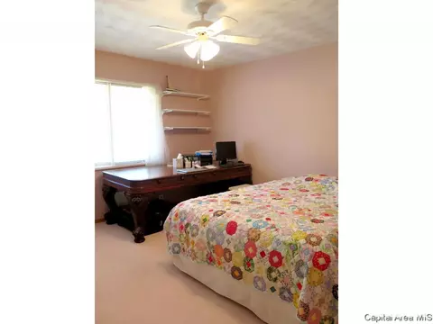 4662 Spaulding Orchard Rd, Springfield, IL 62711 photo 27