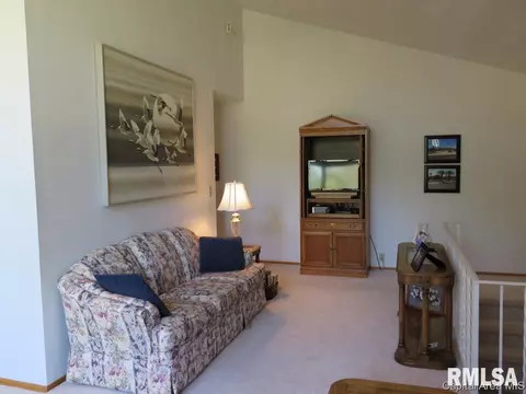 4662 Spaulding Orchard Rd, Springfield, IL 62711 photo 17