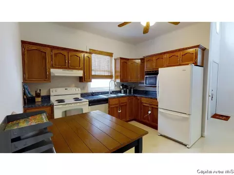 413 W Canedy St, Springfield, IL 62704 photo 9