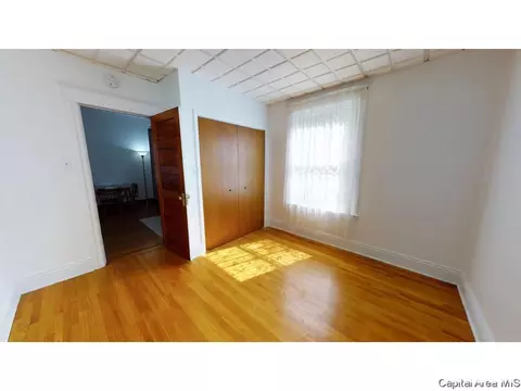 413 W Canedy St, Springfield, IL 62704 photo 10
