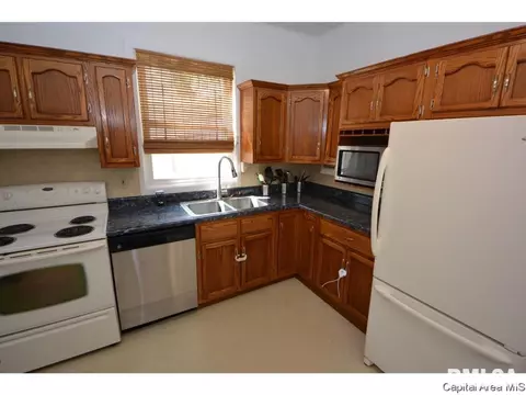 413 W Canedy St, Springfield, IL 62704 photo 8