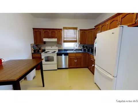 413 W Canedy St, Springfield, IL 62704 photo 7