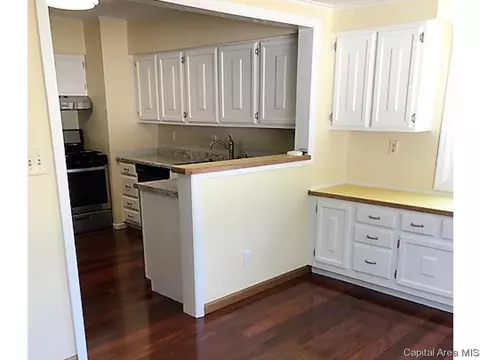 1107 Johnson Ln, Springfield, IL 62702 photo 8