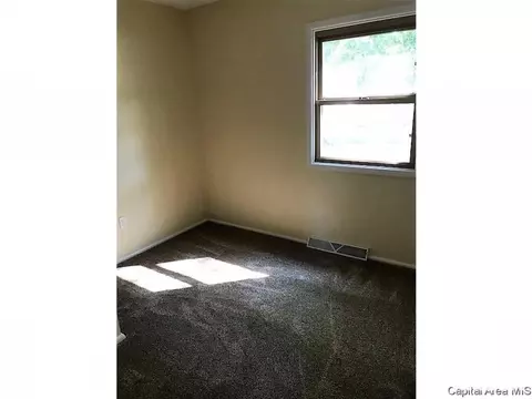 1107 Johnson Ln, Springfield, IL 62702 photo 22