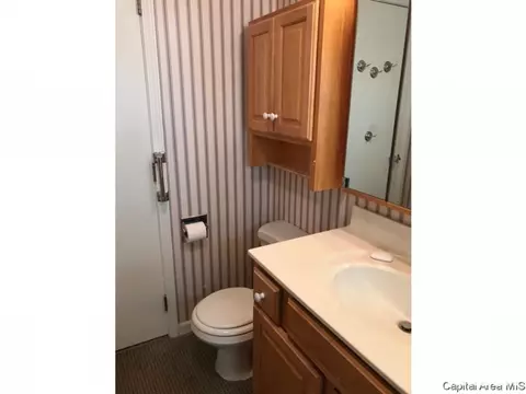 124 E Olive St, Virden, IL 62690 photo 9