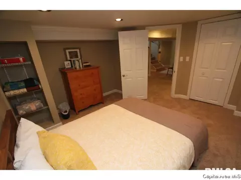 813 Loraine Ave, Springfield, IL 62704 photo 22