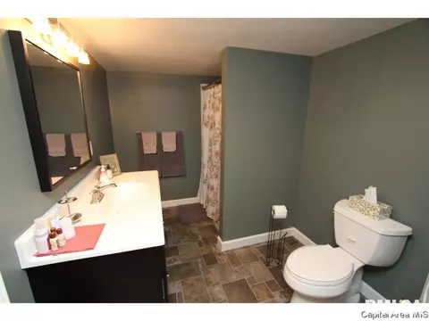813 Loraine Ave, Springfield, IL 62704 photo 20