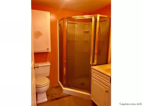 516 N Wesley St, Springfield, IL 62702 photo 10