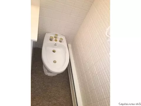 201 N Maple St, Athens, IL 62613 photo 25