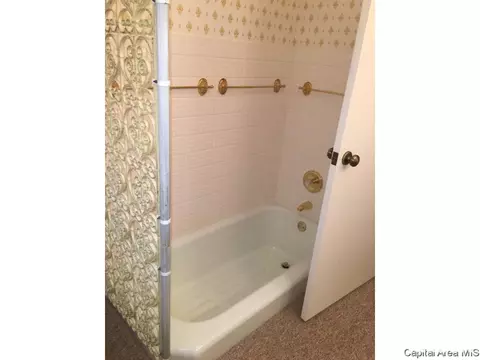 201 N Maple St, Athens, IL 62613 photo 23