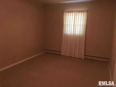 201 N Maple St, Athens, IL 62613 photo 20
