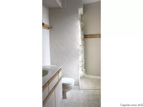 1630 N 8th St, Springfield, IL 62702 photo 11