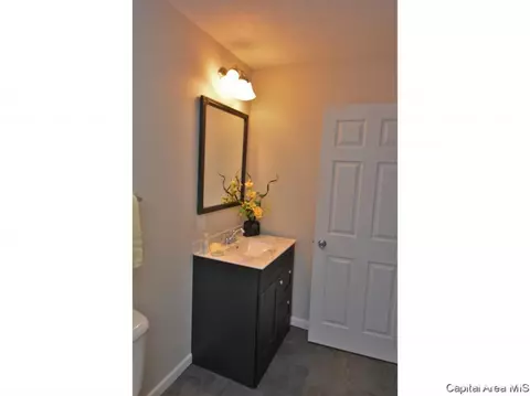 421 W Maple Ave N, Springfield, IL 62702 photo 20