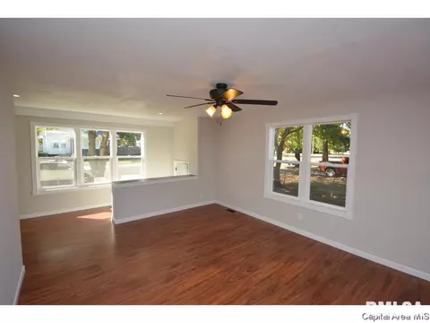 421 W Maple Ave N, Springfield, IL 62702 photo 5