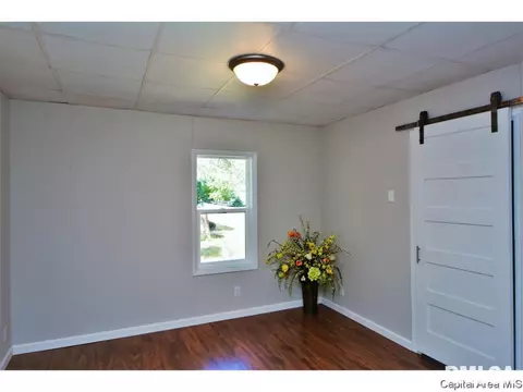421 W Maple Ave N, Springfield, IL 62702 photo 12