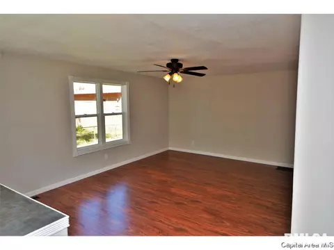 421 W Maple Ave N, Springfield, IL 62702 photo 4