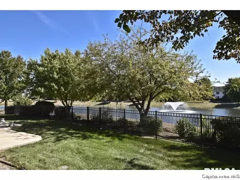 2516 Chicory Dr, Springfield, IL 62711 photo 34