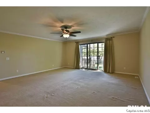 2516 Chicory Dr, Springfield, IL 62711 photo 18