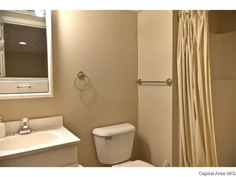 2516 Chicory Dr, Springfield, IL 62711 photo 26