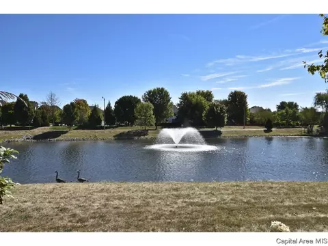 2516 Chicory Dr, Springfield, IL 62711 photo 35