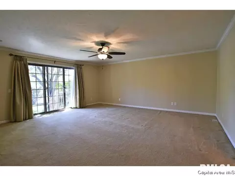 2516 Chicory Dr, Springfield, IL 62711 photo 17