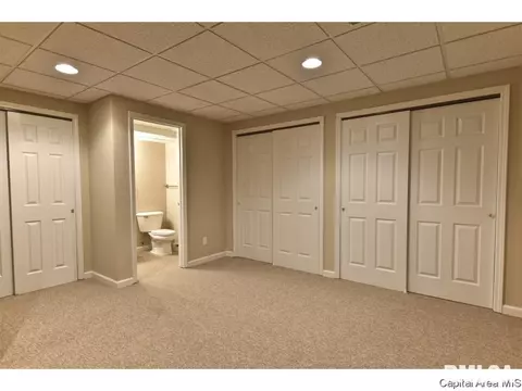 2516 Chicory Dr, Springfield, IL 62711 photo 29