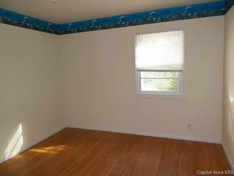 121 N Johnson St, Oneida, IL 61467 photo 10