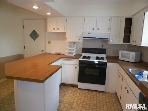 121 N Johnson St, Oneida, IL 61467 photo 8