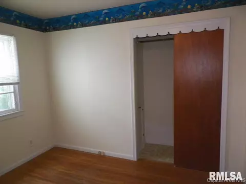 121 N Johnson St, Oneida, IL 61467 photo 11