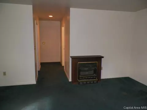 121 N Johnson St, Oneida, IL 61467 photo 13
