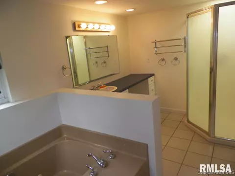 121 N Johnson St, Oneida, IL 61467 photo 14