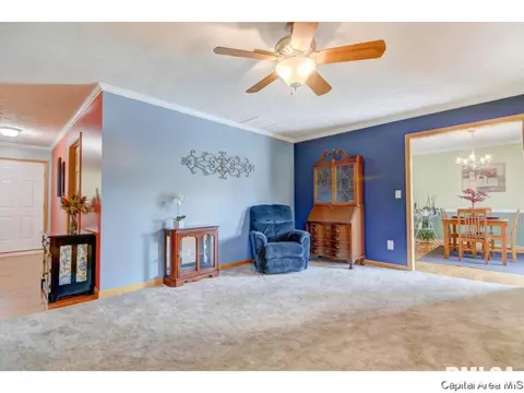 2905 Springwood Dr, Springfield, IL 62712 photo 16