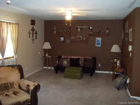 1334 Johnson, Springfield, IL 62702 photo 7