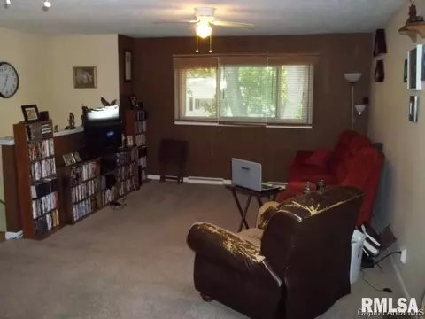 1334 Johnson, Springfield, IL 62702 photo 6