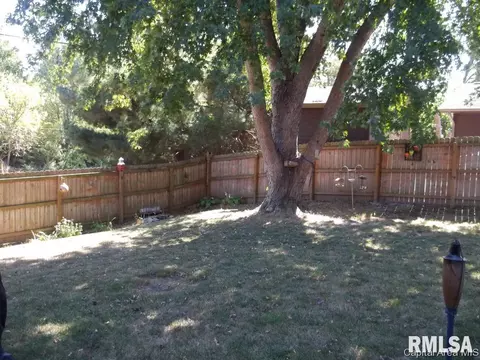 1334 Johnson, Springfield, IL 62702 photo 17
