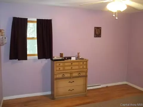 1334 Johnson, Springfield, IL 62702 photo 8