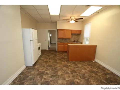 602 W Maple Ave N, Springfield, IL 62702 photo 6