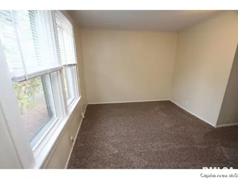 602 W Maple Ave N, Springfield, IL 62702 photo 19