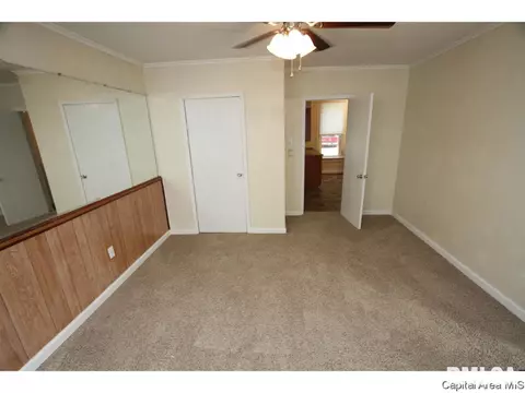 602 W Maple Ave N, Springfield, IL 62702 photo 13