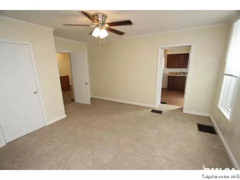 602 W Maple Ave N, Springfield, IL 62702 photo 12